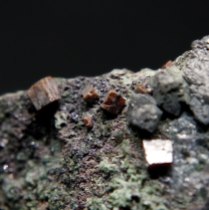 Perowskite CaTiO3 with magnetite Fe2+Fe23+O4, Rocca Sella, Almese, Susa Valley, Torino Province, Piedmont, Italy; biggest crystal about 4 x 4 x 4mm