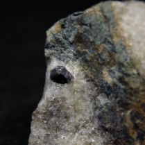 Rutile TiO2, Loučná, Ostrov, Krušné Hory Mts (Erzgebirge), Karlovy Vary Region, Bohemia (Böhmen; Boehmen), Czech Republic; crystal 5 x 4mm