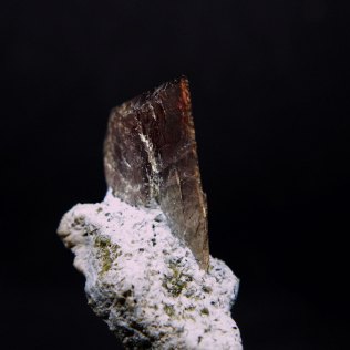 Axinite-(Fe) on amphiboles (green actinolite □{Ca2}{Mg4.5-2.5Fe0.5-2.5}(Si8O22)(OH)2 and white tremolite □{Ca2}{Mg5}(Si8O22)(OH)2);Alchuri (Alchori; Aschudi), Shigar Valley, Skardu District, Baltistan, Gilgit-Baltistan (Northern Areas), Pakistan; axinite crystal 29 x 20 x 5mm