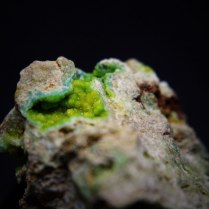 Wavellite Al3(PO4)2(OH,F)3·5H2O (bright green) with turquoise Cu(Al,Fe)6(PO4)4(OH)8·4H2O (teal); Palazuelo de las Cuevas, Aliste, Zamora, Castile and Leon, Spain; druse about 10mm