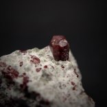 Large crystal of eudialyte Na15Ca6(Fe,Mn)3Zr3[Si25O73](O,OH,H2O)3(OH,Cl)2 in alkaline rock; Kirovskii apatite mine, Kukisvumchorr Mt, Khibiny Massif, Kola Peninsula, Murmanskaja Oblast', Northern Region, Russia; crystal about 12 x 7 mm