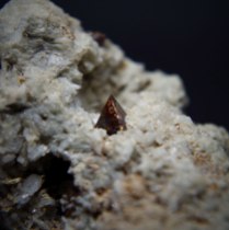 Zircon crystal Zr(SiO4) in albite Na(AlSi3O8); Pegmatite №24, Vavnbed Mt, Lovozero Massif, Kola Peninsula, Murmanskaja Oblast', Northern Region, Russia; FOV: 25 mm