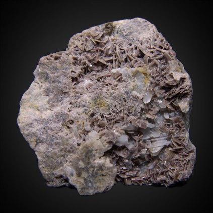 Cluster of small crystals of axinite (probably axinite-(Fe) Ca2FeAl2BSi4O15OH) with quartz SiO2; Zbraslav, Prague District (Praha District), Bohemia (Böhmen; Boehmen), Czech Republic; 66 x 63 x 14 mm