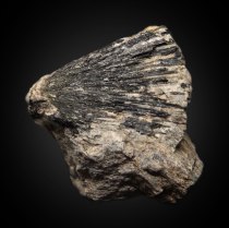 Small pyroxene var. aegirine NaFeSi2O6 ‘suns’ on the surface of mariupolite (aegirine-albite nepheline syenite); Donskoy quarry, Mazurovskoe Zr deposit, Oktyabr'skii Massif (Mariupol'skii), Azov Sea Region, Donetsk (Donets'k) Oblast', Ukraine; 35 x 35 x 15 mm