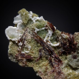 Brown clusters of elongated crystals of vesuvianite (Ca,Na)19(Al,Mg,Fe)13(SiO4)10(Si2O7)4(OH,F,O)10 with platy green clinochlore Mg5Al(AlSi3O10)(OH)8 and white calcite CaCO3; Canari Mine, Canari, Bastia, Haute-Corse, Corsica, France; FOV 35 mm