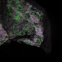 Fiber-like crystals of lilac-grey shuiskite Ca2MgCr2(Si2O7)(SiO4)(OH)2·2H2O with clusters of minute emerald-green uvarovite Ca3Cr2(SiO4)3; Saranovskii Mine, (Saranovskoe), Saranovskaya Village (Sarany), Gornozavodskii area, Permskaya Oblast', Middle Urals, Urals Region, Russia; FOV: 20 mm